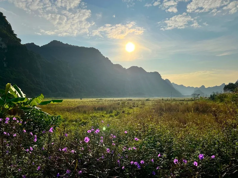 Sunrise over limestone hills and misty grassland with purple flowers in Viet Hai, Cat Ba island