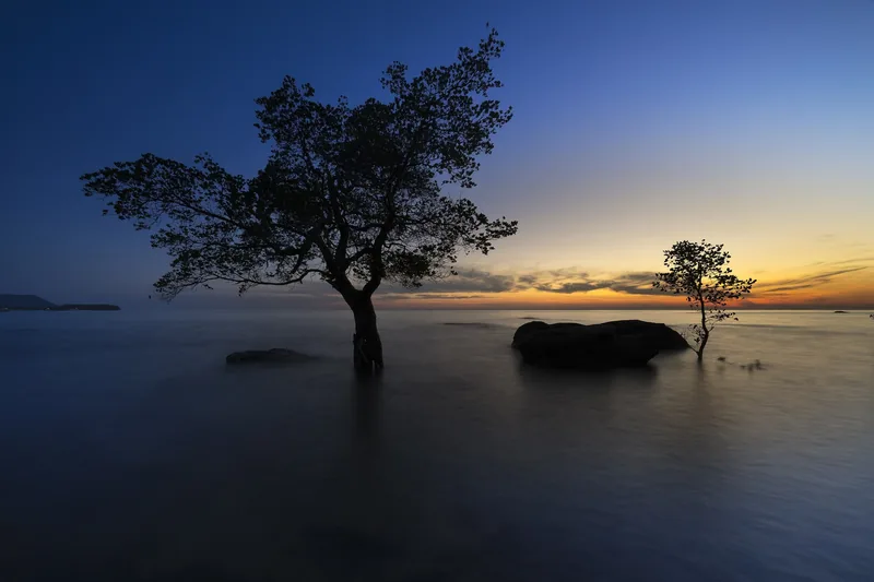 Silhouetted trees rise from calm sea water at twilight on a Phu Quoc beach.