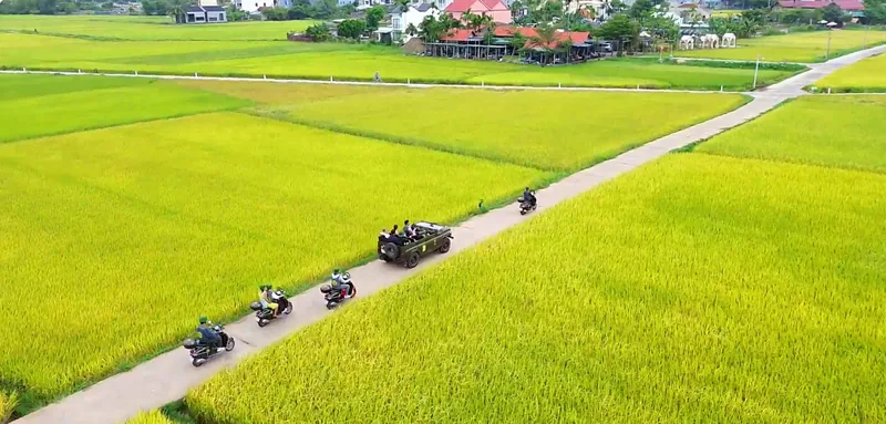 An aerial view shows a jeep and motorbikes riding a path through vivid green rice paddies near Hoi An.