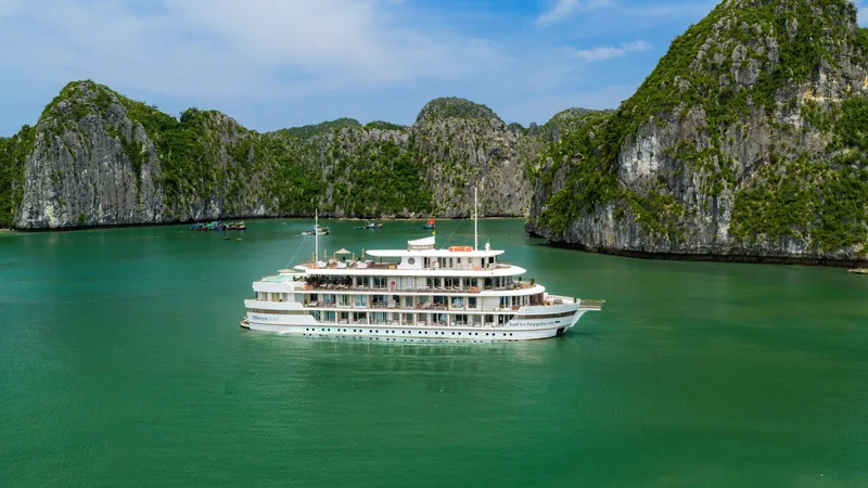 A multi-deck white cruise ship floats on emerald water amid towering limestone karsts in Halong Bay.