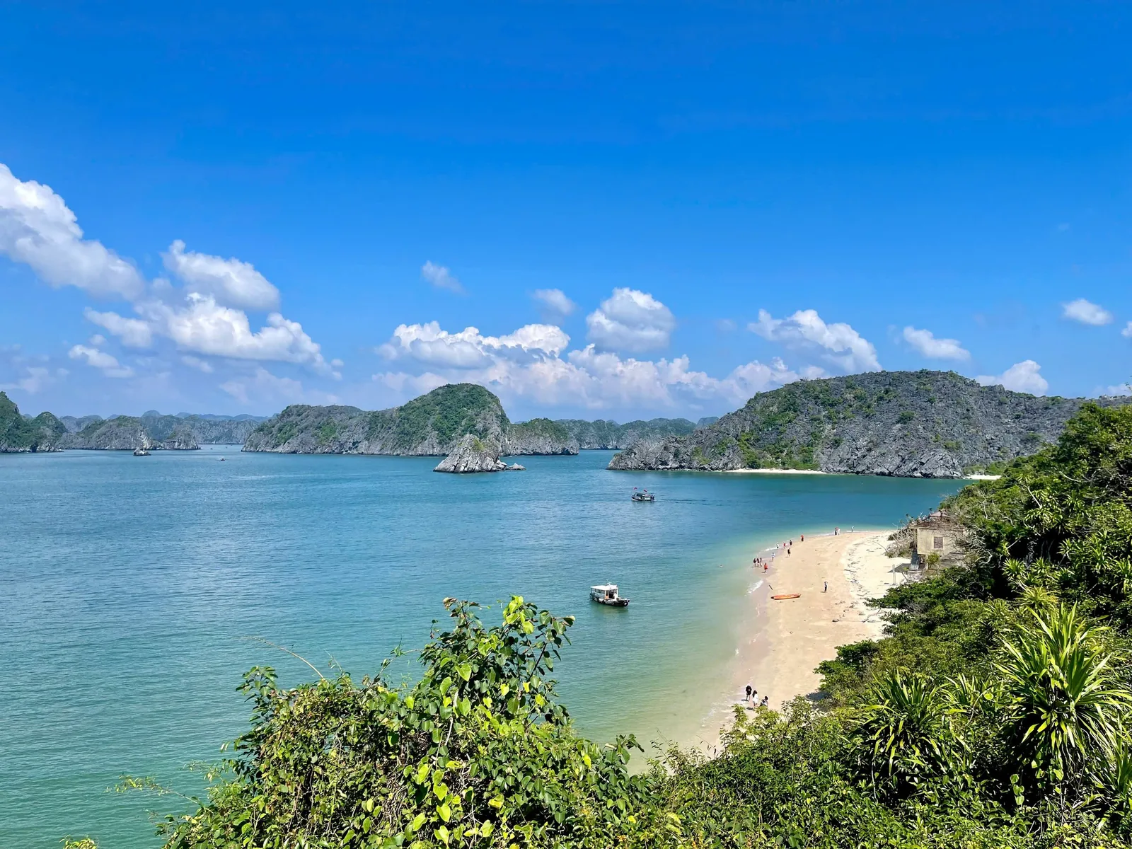 A crescent sandy beach curves along turquoise water surrounded by limestone karsts in Lan Ha Bay.