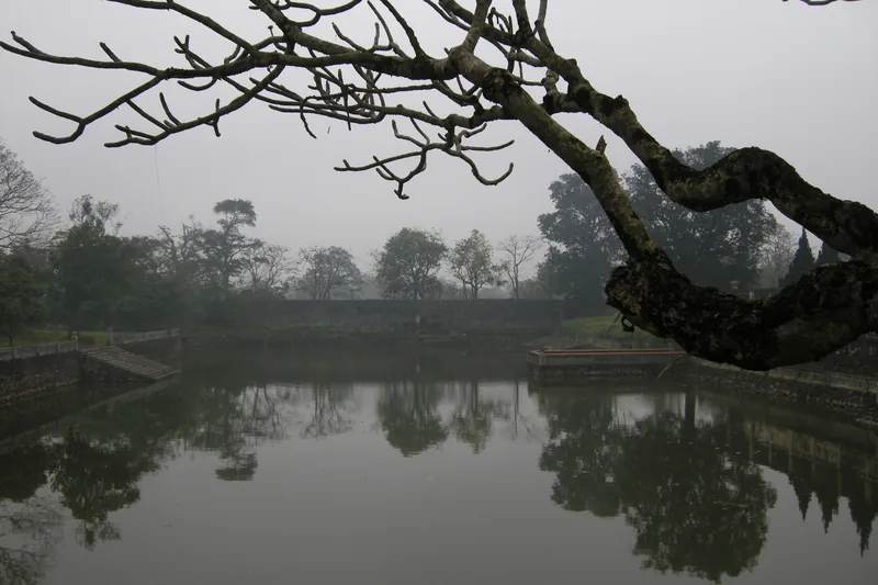 A bare, twisted tree branch overhangs the misty moat surrounding the Imperial City of Hue.